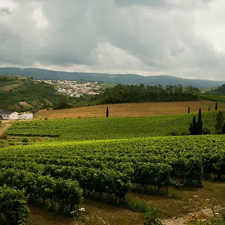 Quinta Dos Capuchos Casa Velha Holiday home Alcobaca